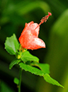 %_tempFileName02-20091122-0261%