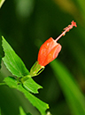 %_tempFileName03-20091122-0262%