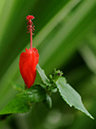 %_tempFileName04-20091129-0172%