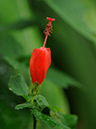 %_tempFileName05-20091213-0213%