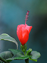 %_tempFileName06-20100111-0143%