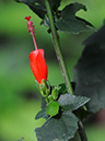 %_tempFileName07-20100111-0144%