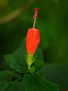 %_tempFileName08-20100130-0116%