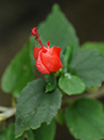 %_tempFileName09-20100306-0167%