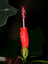 %_tempFileName10-20100214-0188%