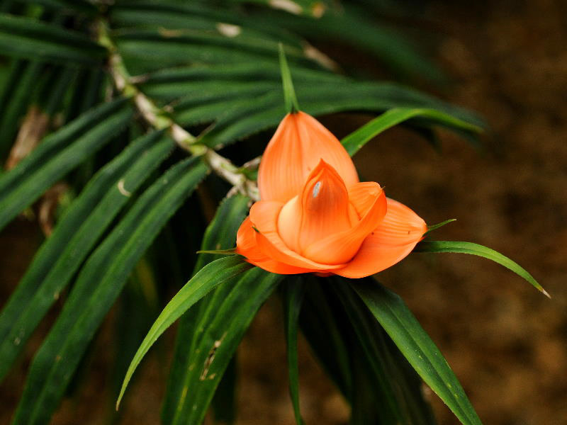 %_tempFileName01-20100313-0156%