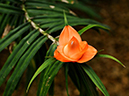 %_tempFileName01-20100313-0156%