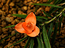 %_tempFileName02-20100313-0157%