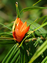 %_tempFileName03-20110227-0176%