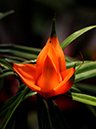 %_tempFileName04-20110305-0210%