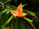%_tempFileName05-20110319-0187%