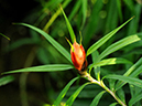 %_tempFileName06-20120204-0088%