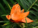 %_tempFileName07-20120219-0335%