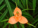 %_tempFileName08-20120219-0337%