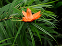 %_tempFileName09-20120219-0341%