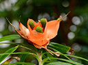 %_tempFileName10-20150329-0131%