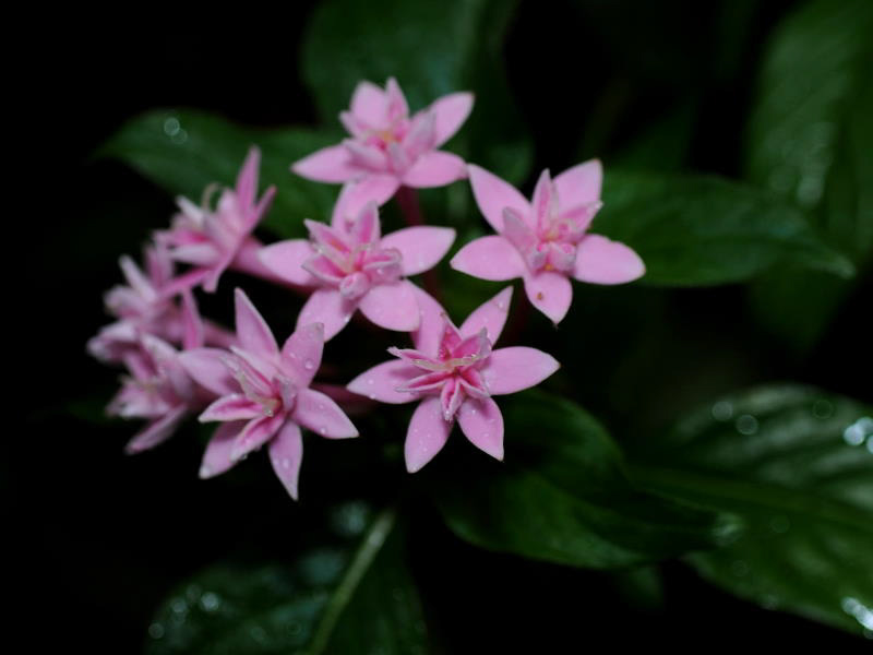 %_tempFileName01-20101211-0231%