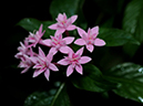 %_tempFileName01-20101211-0231%