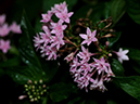 %_tempFileName02-20101211-0232%