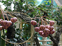 %_tempFileName01-20120325-0510%