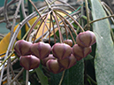 %_tempFileName02-20120325-0511%