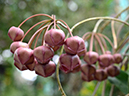 %_tempFileName03-20120325-0513%