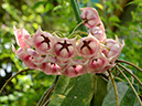 %_tempFileName04-20120812-0340%