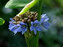 %_tempFileName02-20051113-0218%