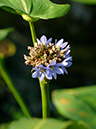 %_tempFileName04-20051127-0264%