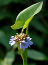 %_tempFileName05-20051127-0265%