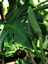 %_tempFileName01-20100124-0166%
