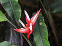 %_tempFileName01-20080308-0224%