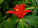 %_tempFileName01-20091213-0184%