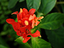 %_tempFileName02-20100124-0177%