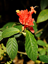 %_tempFileName03-20100130-0165%
