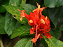 %_tempFileName06-20110505-0450%