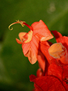 %_tempFileName07-20121223-0118%