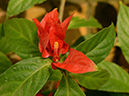 %_tempFileName10-20200315-0181%