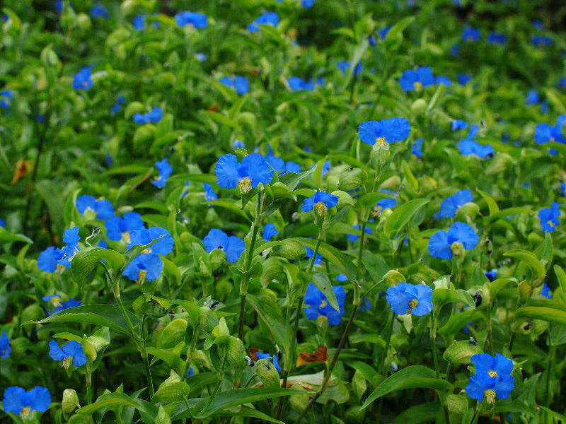 %_tempFileName09-20060820-0266%
