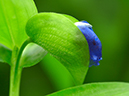 %_tempFileName01-20010630-0240%