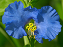 %_tempFileName03-20010712-0195%