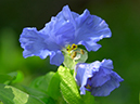 %_tempFileName04-20010728-0006%