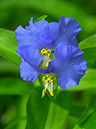 %_tempFileName05-20010729-0009%