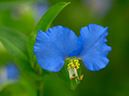 %_tempFileName06-20020818-0007%