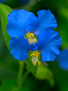 %_tempFileName07-20020828-0003%