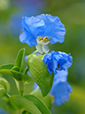 %_tempFileName08-20050724-0314%
