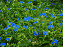 %_tempFileName09-20060820-0266%
