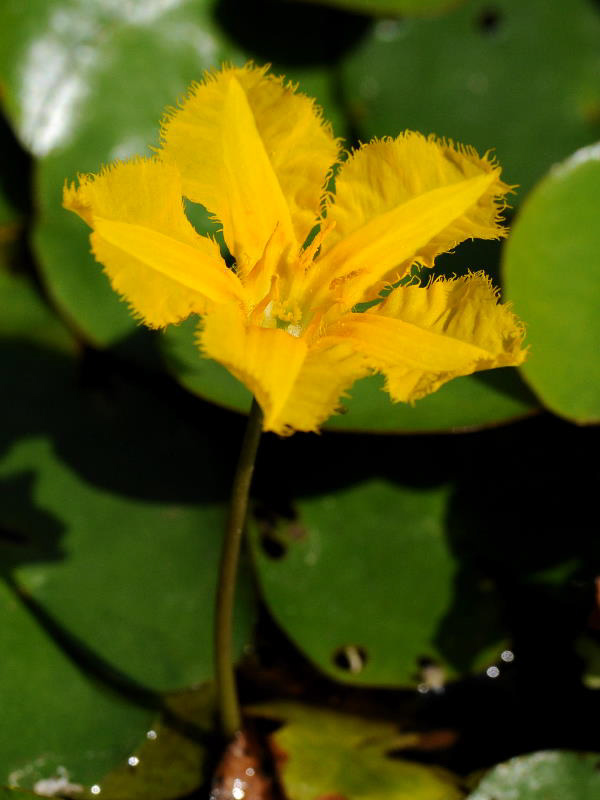 %_tempFileName06-20100725-0327%