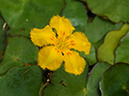 %_tempFileName02-20090506-0303%