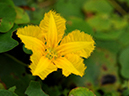 %_tempFileName03-20090718-0600%